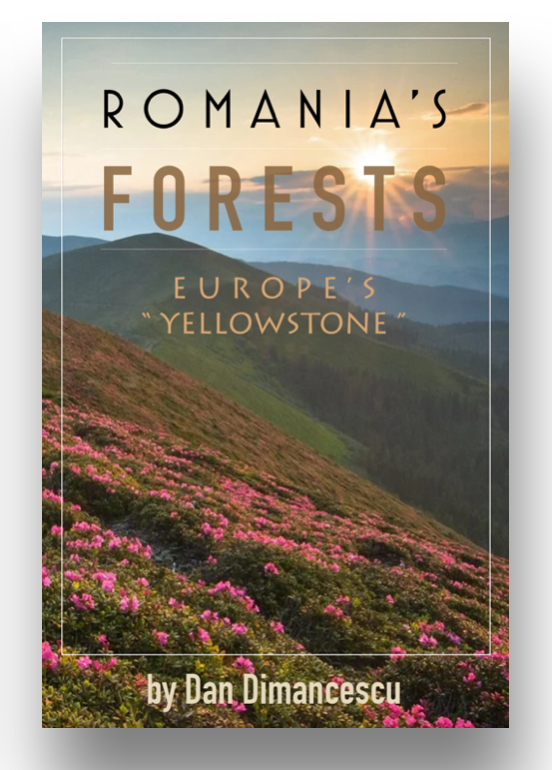 A - ROMANIAN FORESTS: Europe's 'Yellowstone'